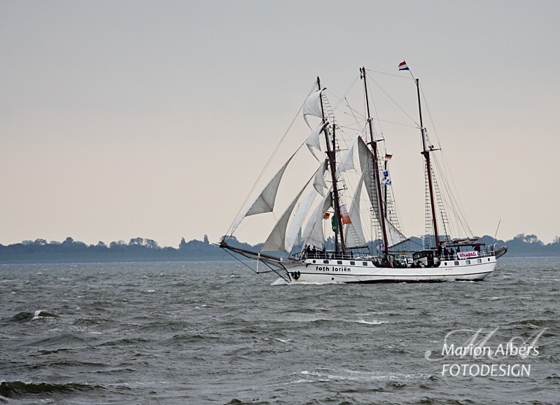 IMG_1966_01.jpg