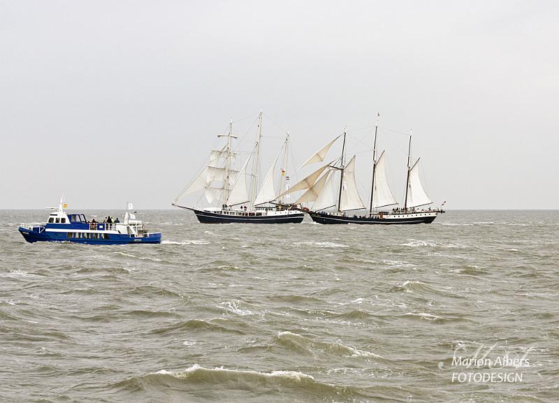 IMG_2010_02.jpg