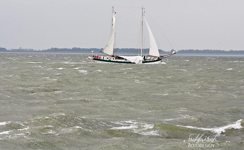 IMG_2164.jpg